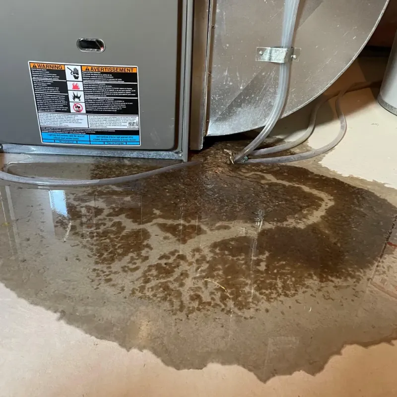 Appliance Leak Cleanup in Athens County, OH